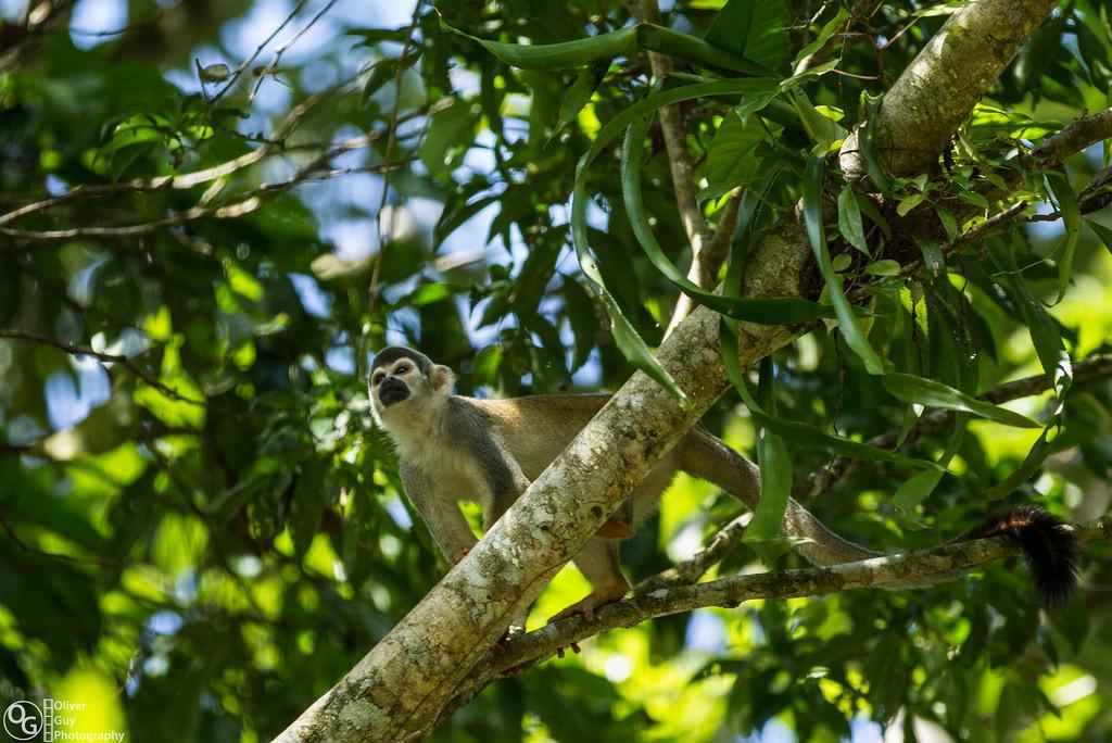 Jamu Lodge Puerto Montufar Kültér fotó